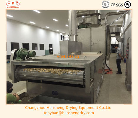 Tipo contínuo mandioca Mesh Belt Dryer do túnel do transporte nos gêneros alimentícios instudry